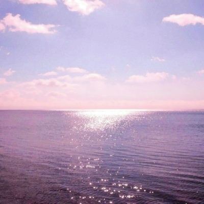 太初天启录枫叶游戏下载