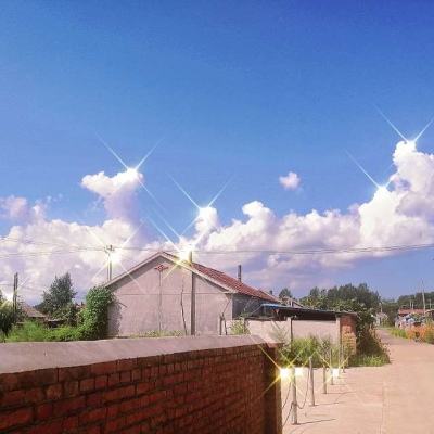 大蓝游戏王者至尊下载